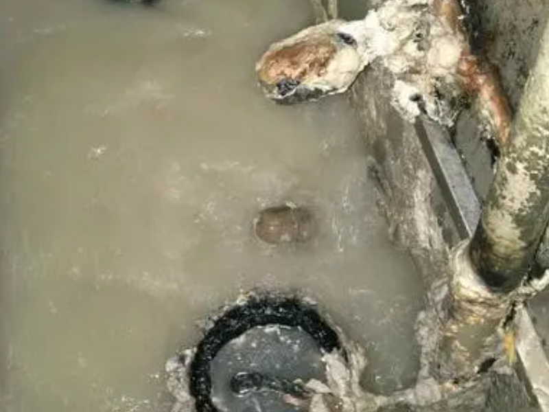 静海梁头化粪池清理 专业设备抽粪疏通清淤